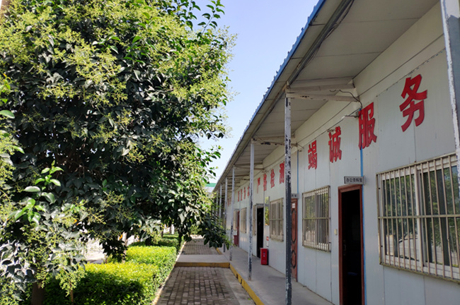 ԇ�(y��n)��